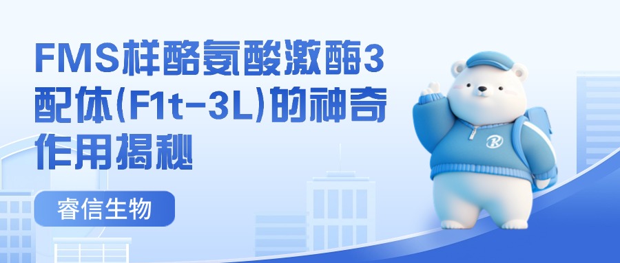 ��������FMS���Ұ��ἤø3���w��F1t-3L�����������ý���