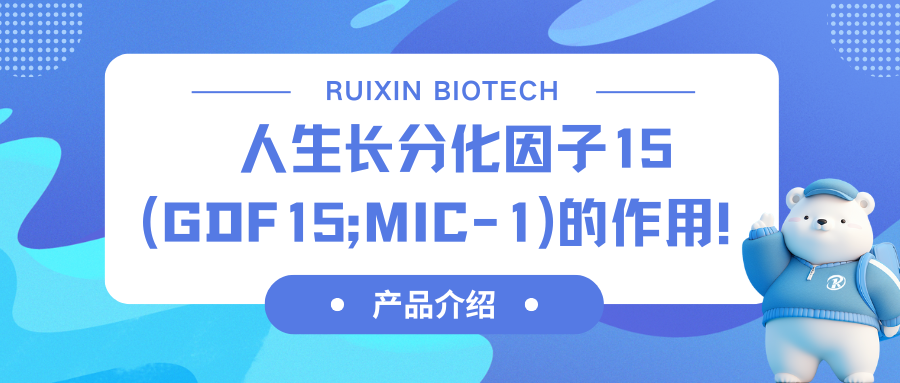 ���a(ch��n)Ʒ��B�������L(zh��ng)�ֻ�����15��GDF-15;MIC-1����������