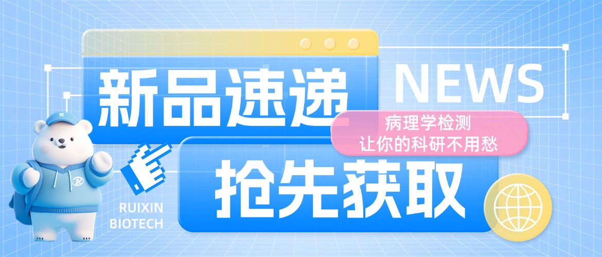 ����Ʒ���f������W(xu��)�z�y(c��)��׌��Ŀ��в��ó�